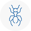 Ant Removals In Codrington