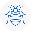 Bed Bug Extermination In Codrington