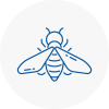 Bee Nest Removal Codrington