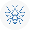 Codrington Hornet Nest Removals