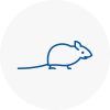 Mice Exterminators In Codrington