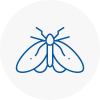 Moth Control Specialists In Codrington