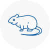 Rat Control Codrington